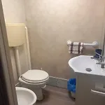 伊迪露营假日公园 假日公园