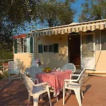 Edy Diano Marina