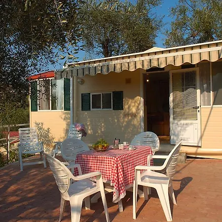 Edy Diano Marina