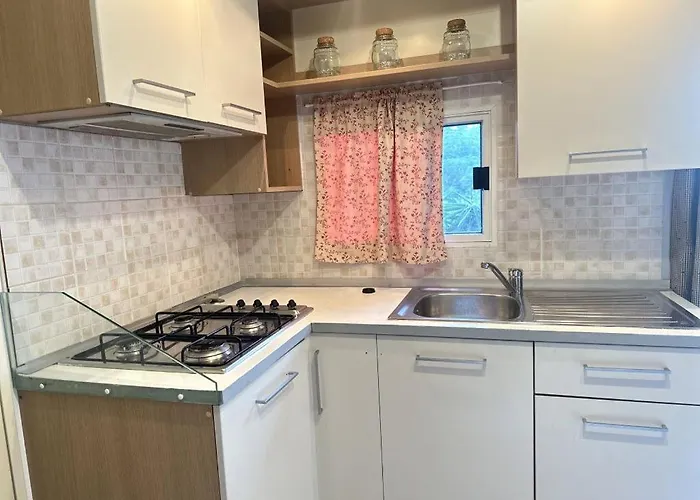 Edy 홀리데이파크