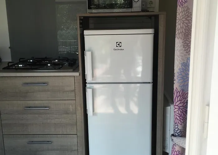 Edy 디아노마리나