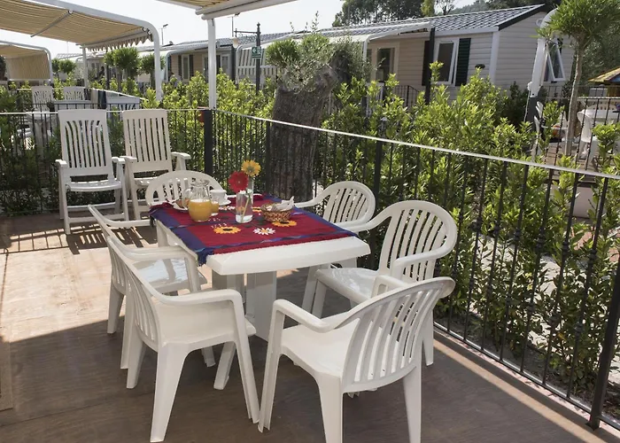 Edy 홀리데이파크